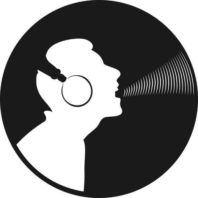 Vinyl Disc